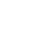 Magnetic Reverse