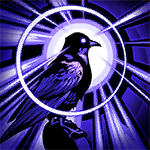 Black Feather